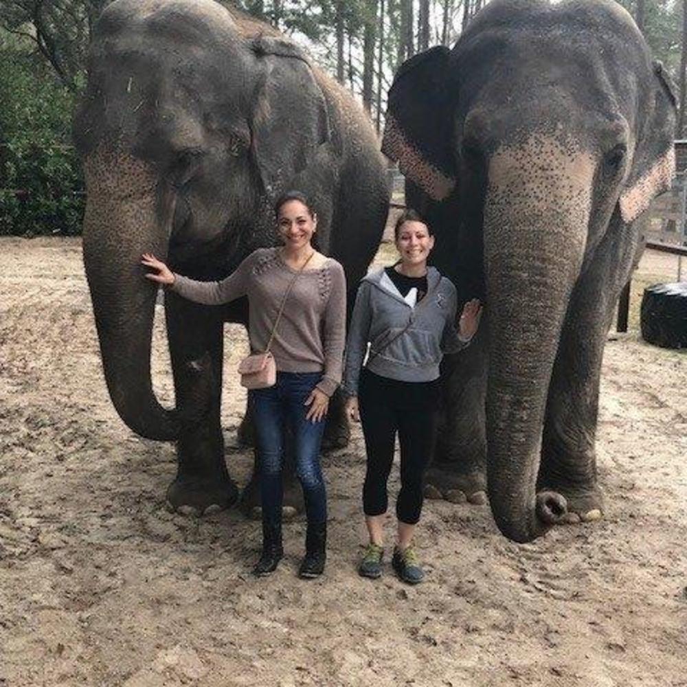 Meet your Posher, Heidi